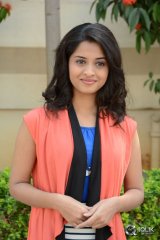 Arthana Binu at Seethamma Andaalu Raamayya Sithraalu Success Meet